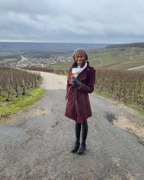 Champagne vineyards in Hautvillers, France